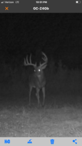 Boss Buck Deer Feeders